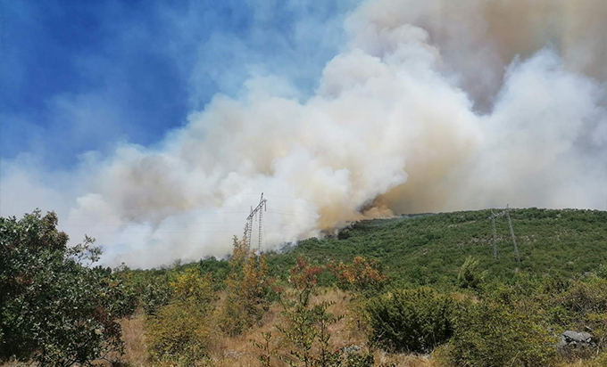 pozar_kod_trebinja6.jpg