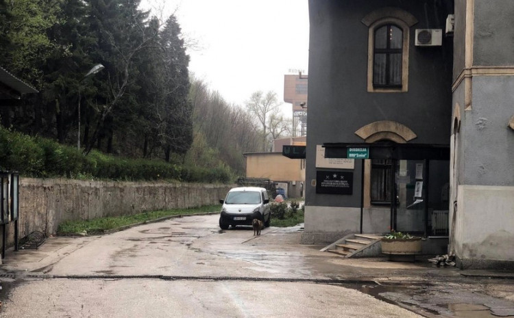 rudar.jpg