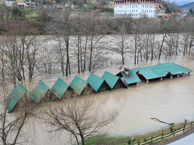 foca_drina.jpg