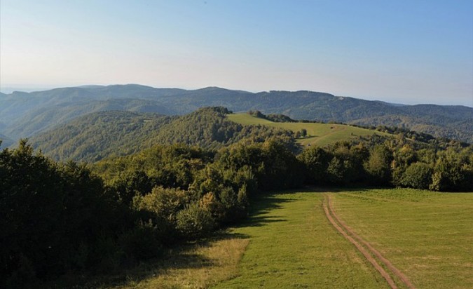 kozara.jpg
