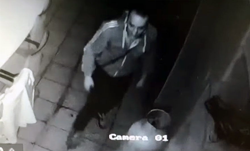 lopov_mozaik_prijateljstva.jpg