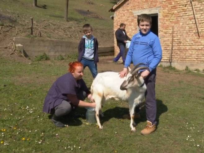porodica_radovanovic.jpg