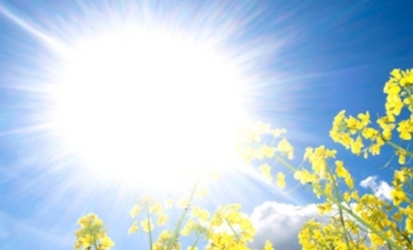 sunce-proljece.jpg