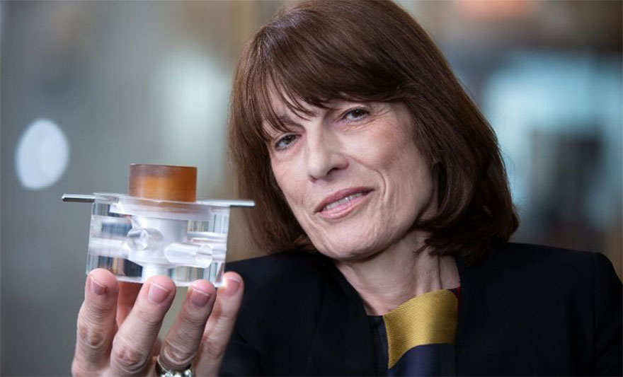 gordana_vunjak.jpg