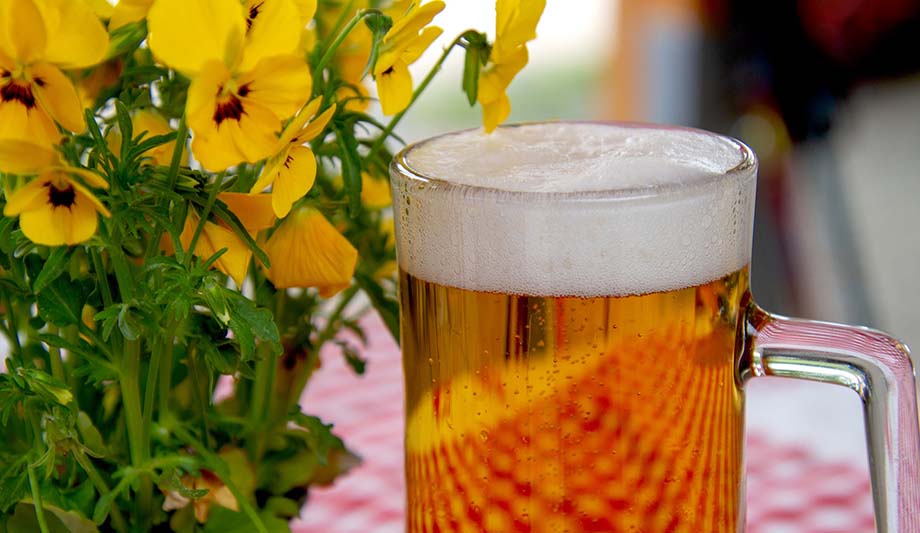 pivo-pixabay-ilustracija.jpg