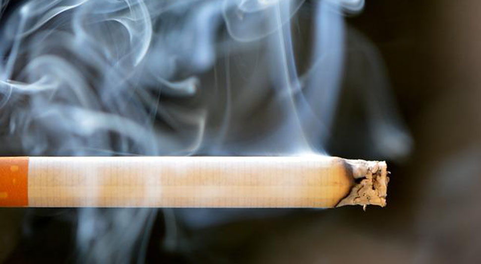 62b971508f54c-Cigare.jpg