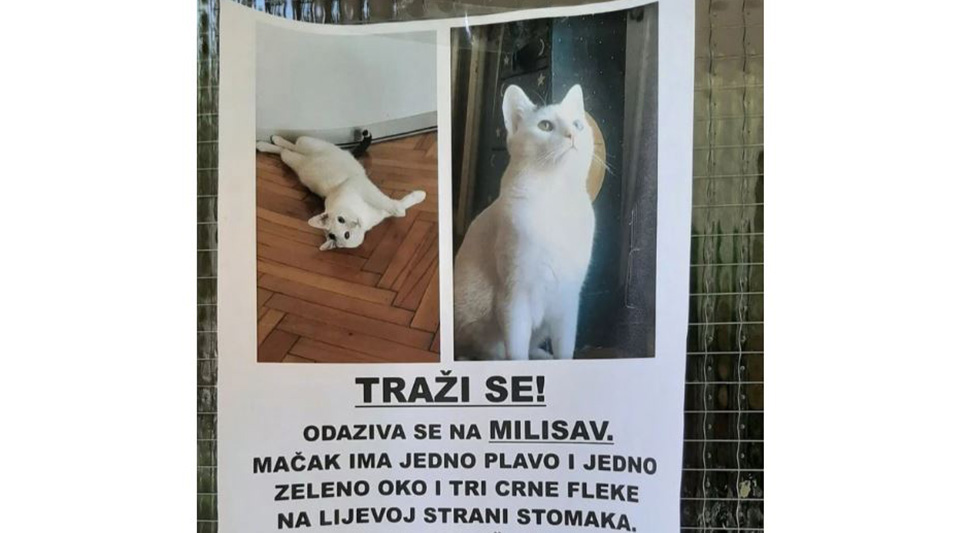 Moli za seks