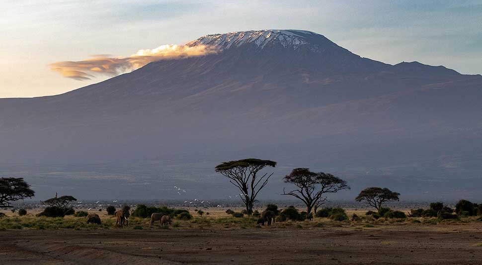 kilimandžaro.jpg