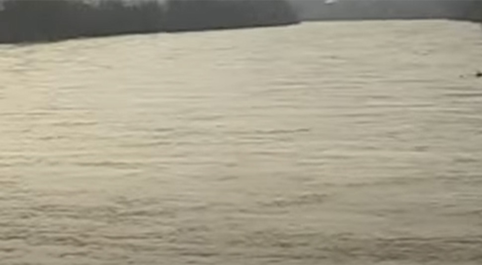 drina-screenshot-youtube.jpg