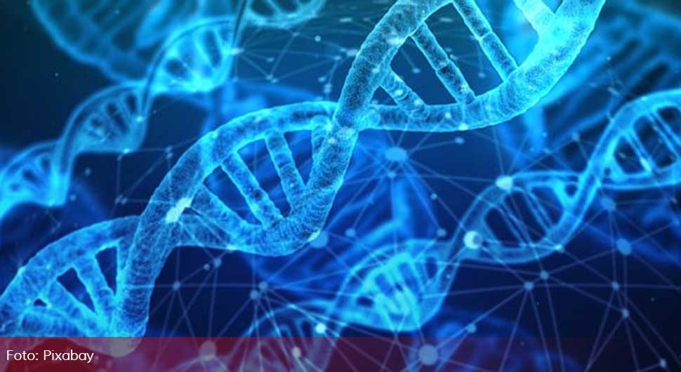 Neobičan eksperiment mijenja sva dosadašnja saznanja: Ljudske gene možemo kontrolisati strujom?