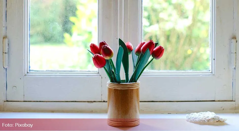 tulipani.webp