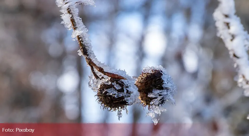 Температурни шокови: Сутра и до 19 степени хладније него данас