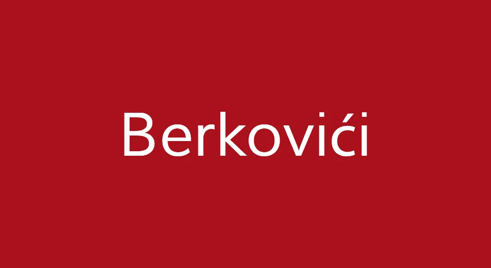 berkovici.webp