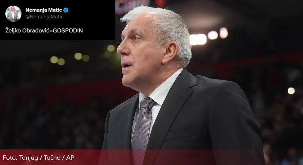 obradovic.webp