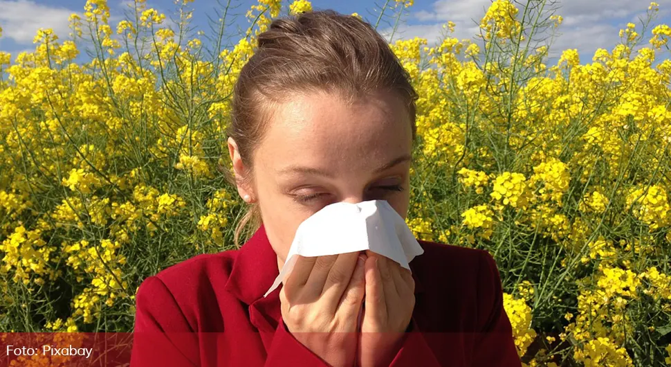 Čajevi koji ublažavaju simptome alergije