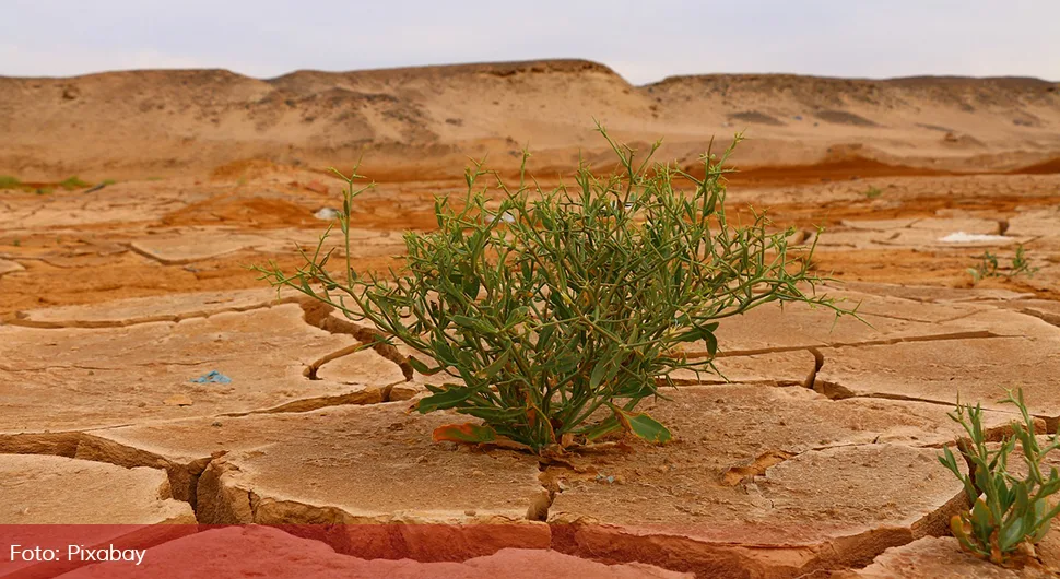 Efekti klimatskih promjena već van domašaja nauke