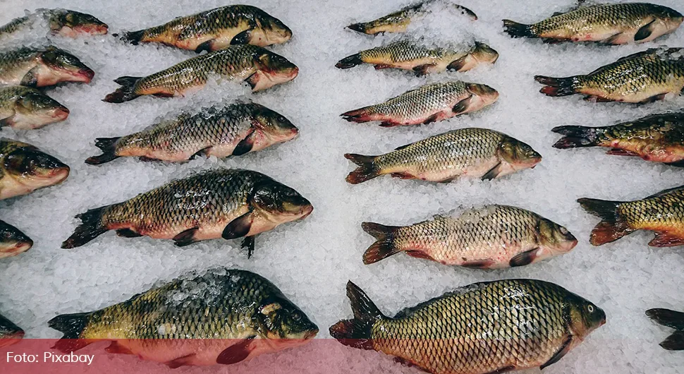 Ево како да препознате покварену рибу: Омиљени оброк током поста