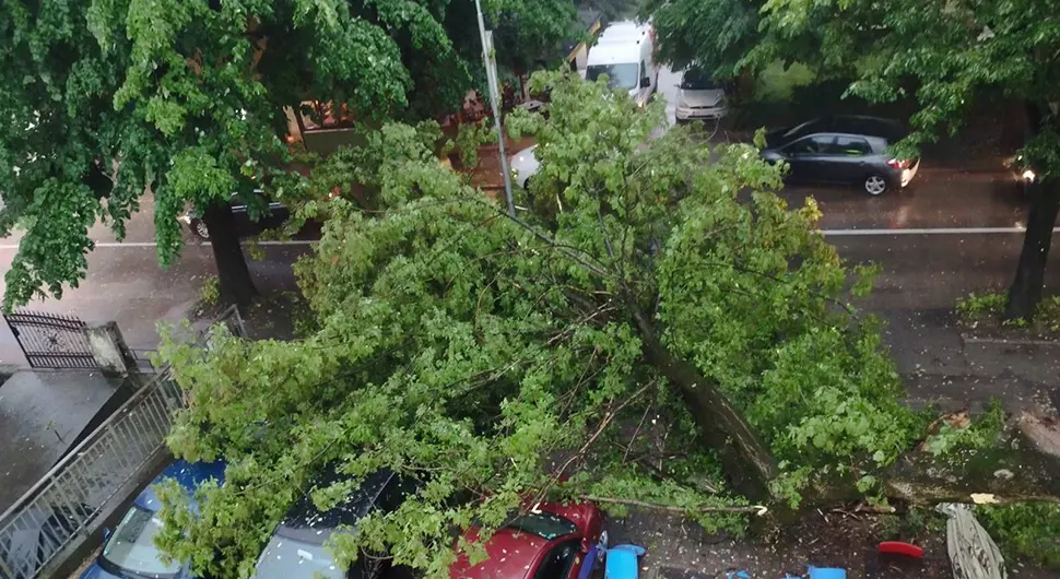 Nevrijeme srušilo drvo u Banjaluci