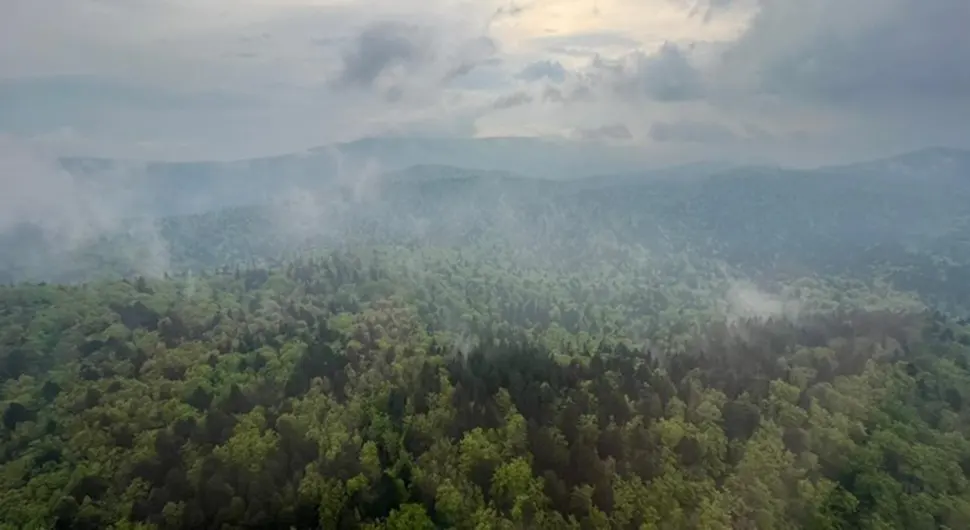 Troje Holanđana bilo u avionu koji se srušio u Hrvatskoj?