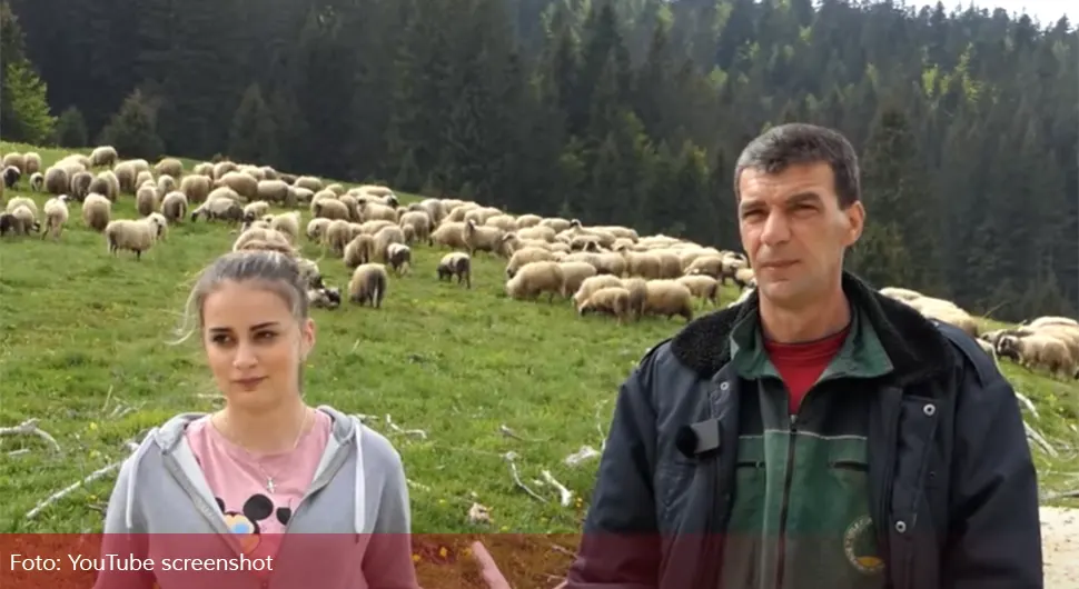 Kćerka i otac brinu o 500 ovaca, pomaže im i magarac Bakir