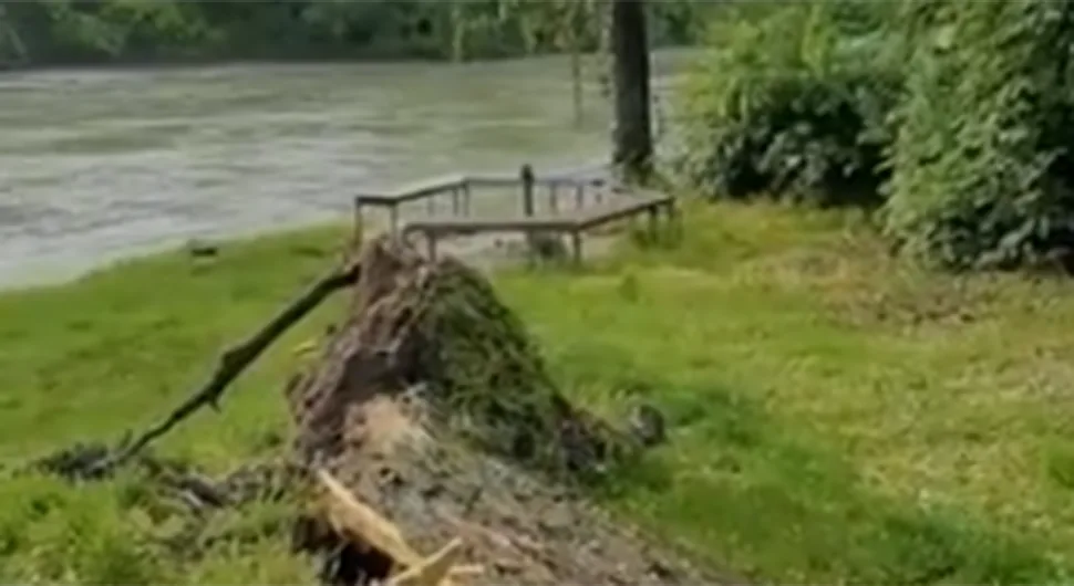 Srušilo se stablo u Banjaluci, objavljen snimak