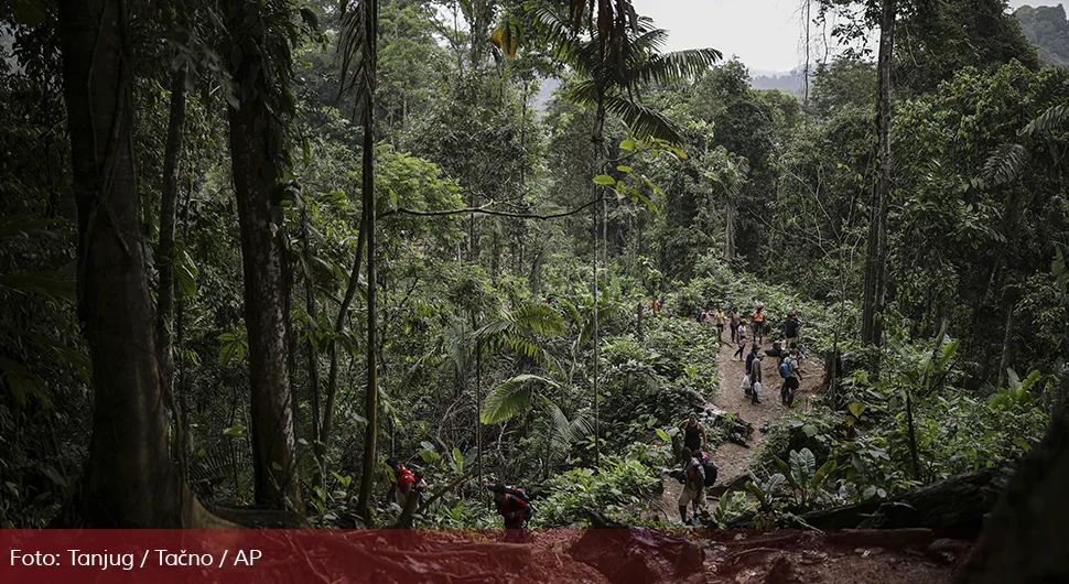 Djeca preživjela dvije sedmice u džungli nakon pada aviona, među njima i beba