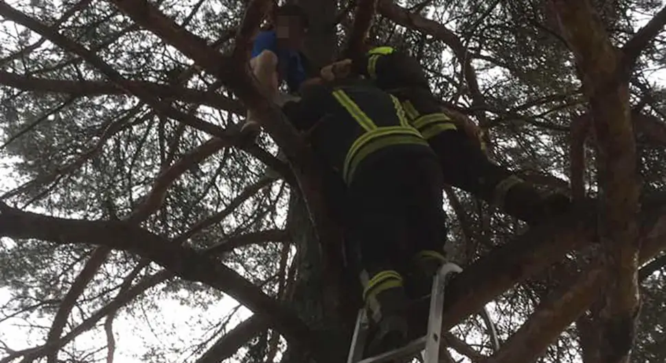 Banjalučki vatrogasci spasili dječaka koji se popeo na drvo