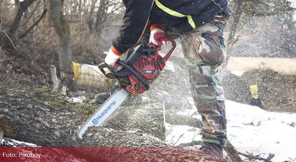 Stablo usmrtilo čovjeka pred očima njegovog sina