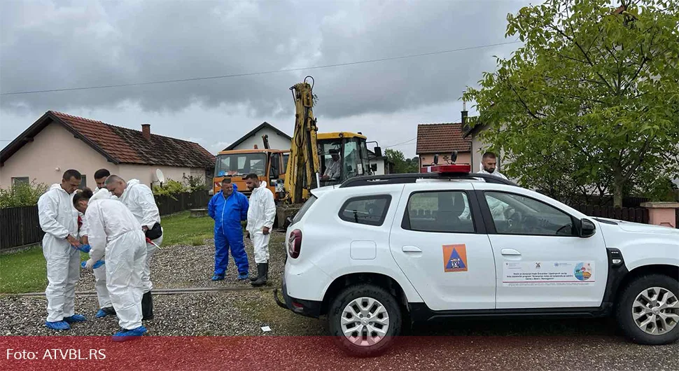 Pogledajte kako izgleda odnošenje svinja zaraženih afričkom kugom, ekipe na terenu