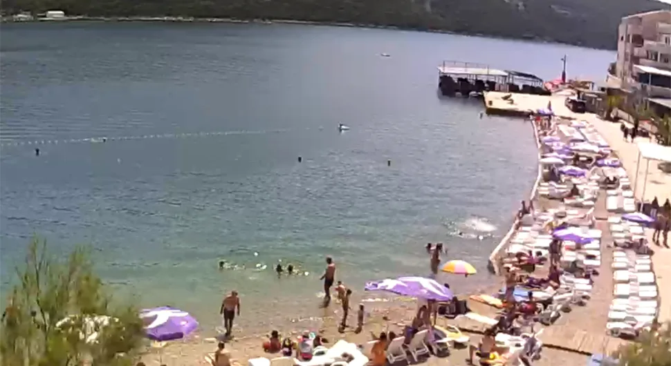 neum.webp