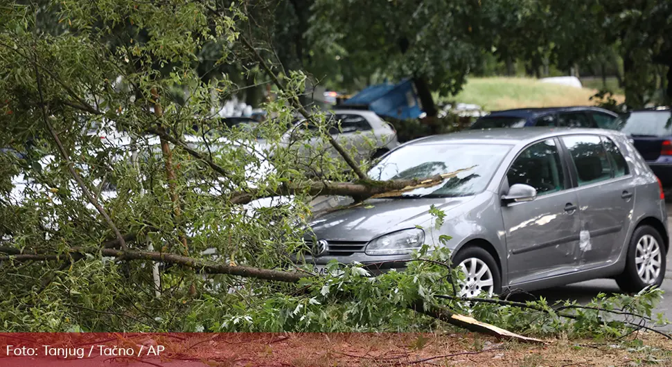 Kako možete naplatiti štetu ako vam padne drvo na automobil