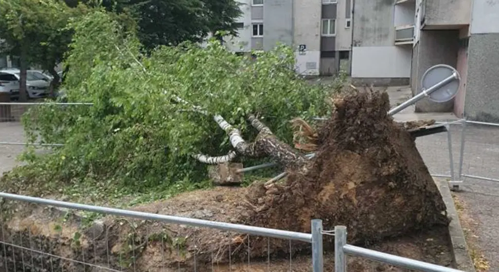 Nevrijeme u Hrvatskoj: Stabla padala na ulicu