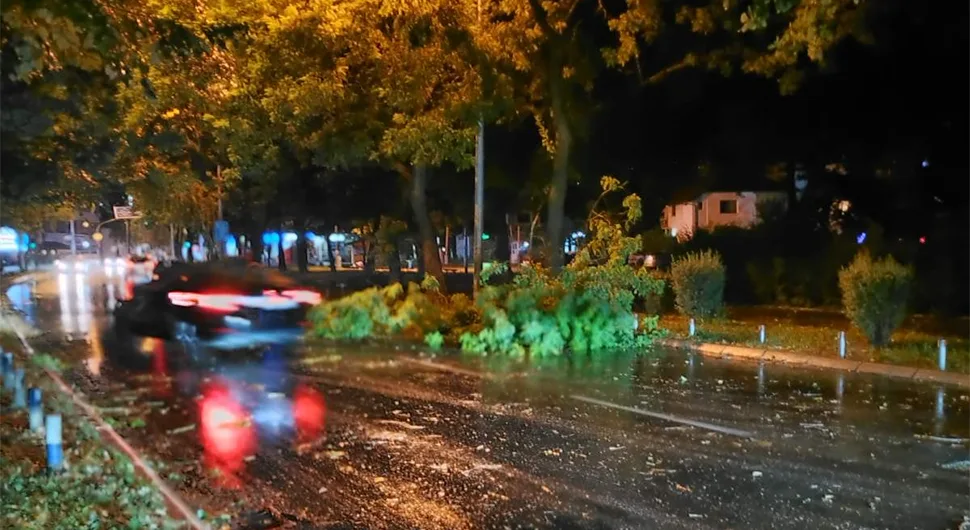 Olujni vjetar rušio drveće u banjalučkim naseljima