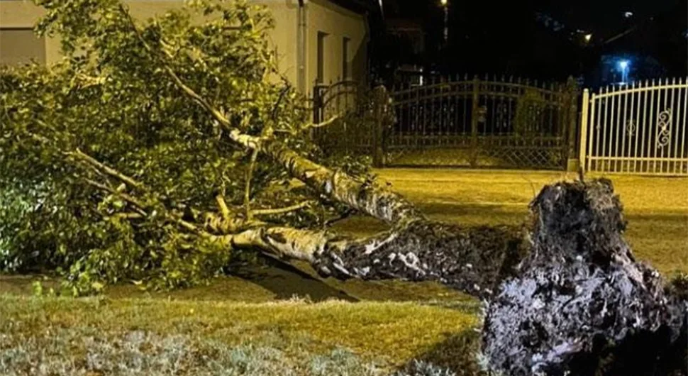 Vjetar obarao drveće u Vrbanji i Čelincu: Vozači oprez!