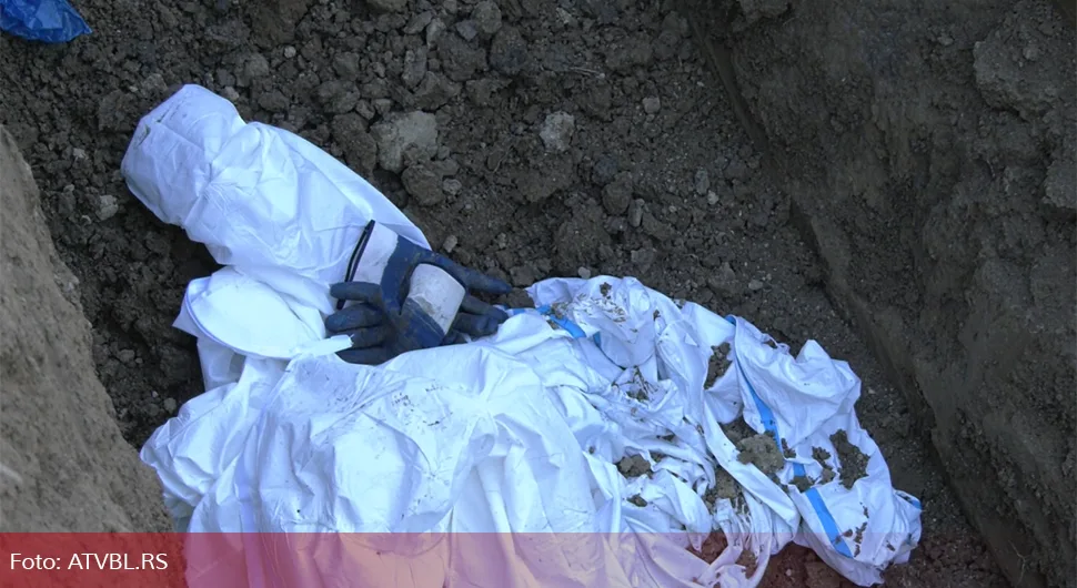 Užasan smrad: U Bijeljini otvorena jama gdje se sahranjuju svinje uginule od afričke kuge