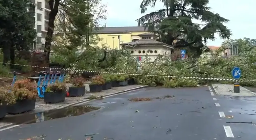 Nova žrtva nevremena - ženu ubilo drvo