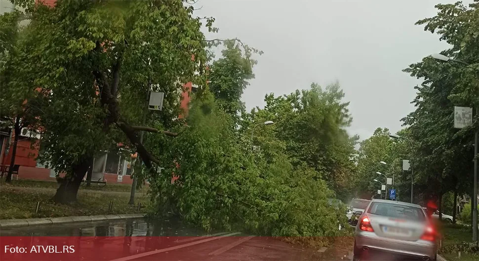 Vjetar oborio drvo u banjalučkoj Aleji Svetog Save