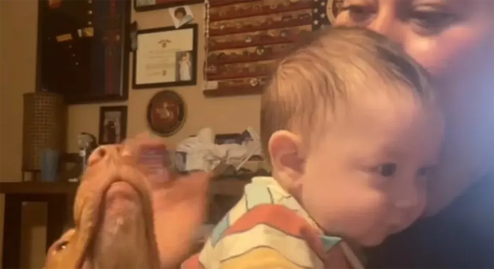 Pas brani bebu od mame, njegova reakcija raznježila milione