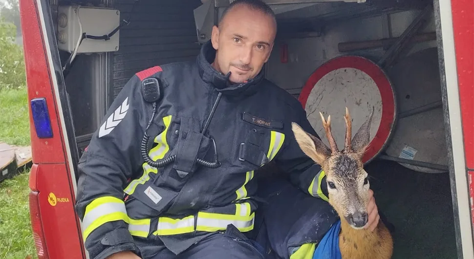 Vatrogasci spasili srndaća iz poplava