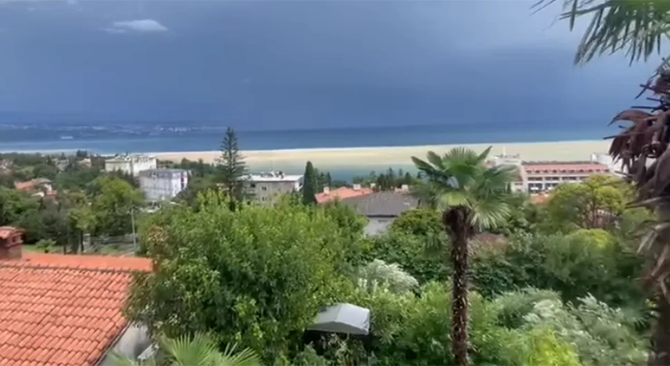 Požutjelo more u Hrvatskoj