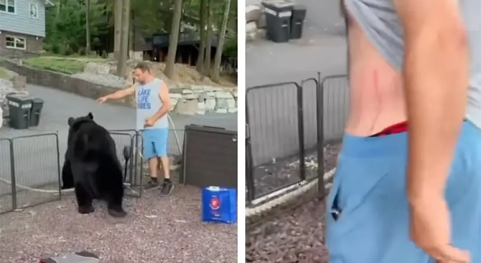 Ovo morate da vidite: Medvjed ušetao u dvorište, a reakcija domaćina sve šokirala!