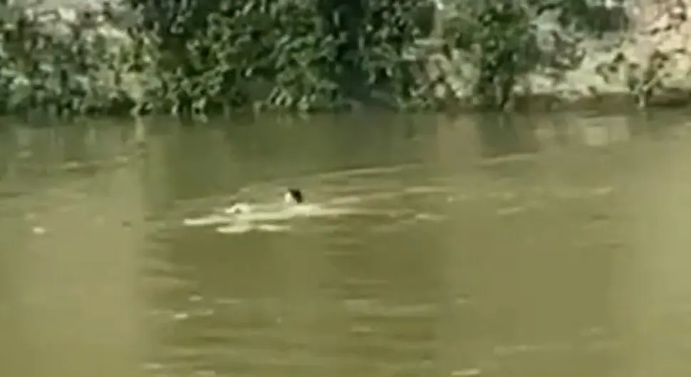 Odmah skočio za njom: Djevojčica upala u nabujalu rijeku, slučajni prolaznik je spasao od sigurne smrti
