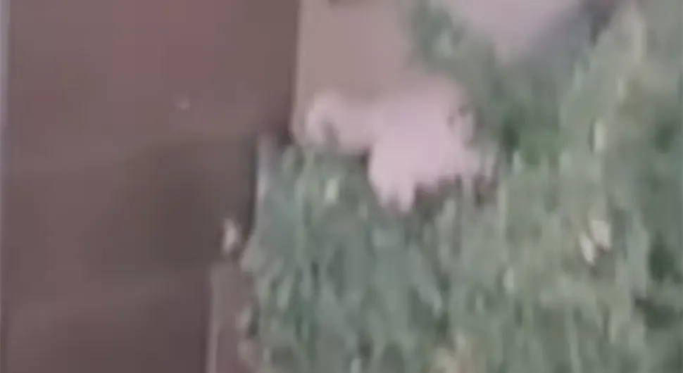 Објављен снимак насиља: Крвнички претукао жену и покушао је бацити са балкона