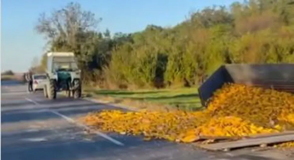 Кукуруз расут по путу: Судар два трактора и аута