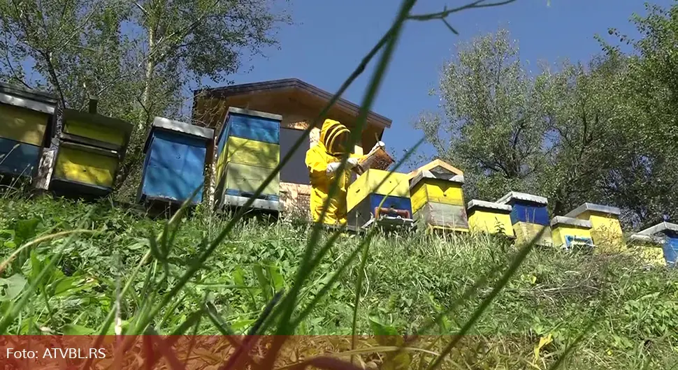Api komore postaju popularne Srpskoj