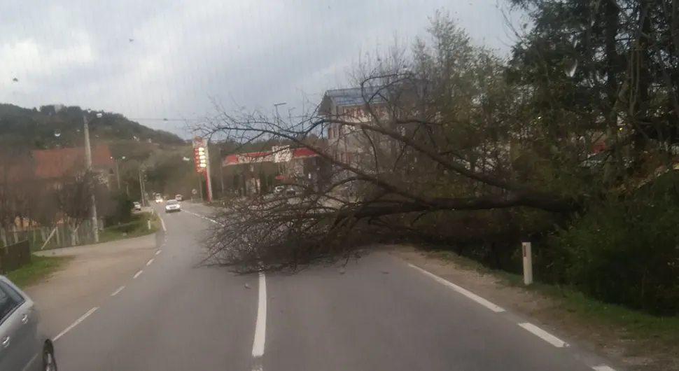 Vjetar oborio drvo u Kotor Varošu, saobraćaj otežan