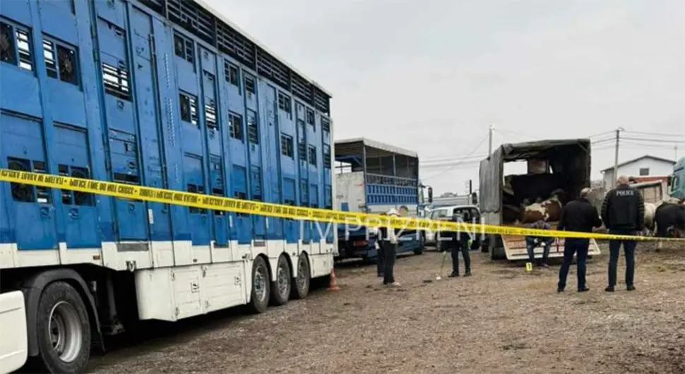 Bačena bomba na stočnoj pijaci u Prizrenu, devetero povrijeđenih