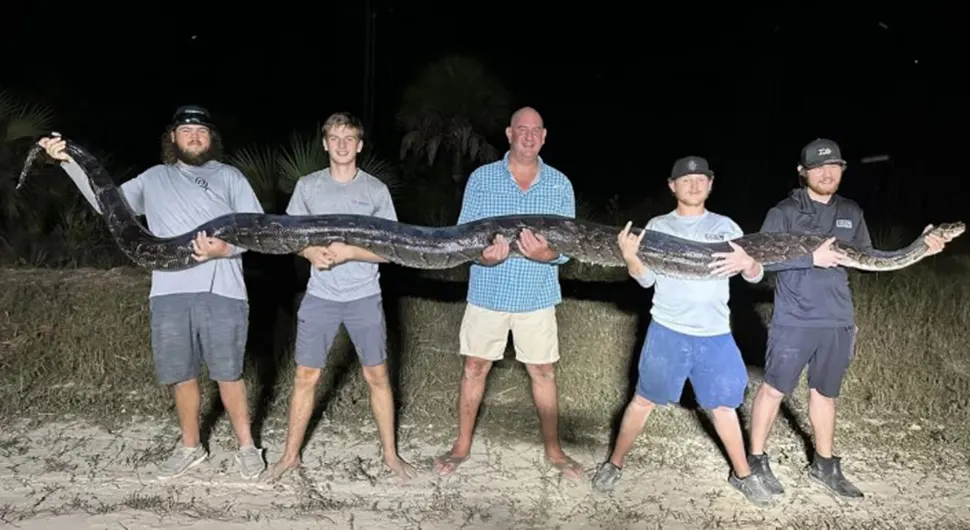 Змија тешка 90 килограма и дуга 5 метара: Ухватили џиновског питона