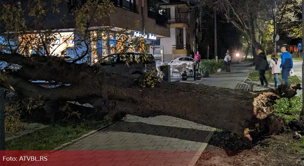 Oprez: Vjetar oborio stablo u centru Banjaluke
