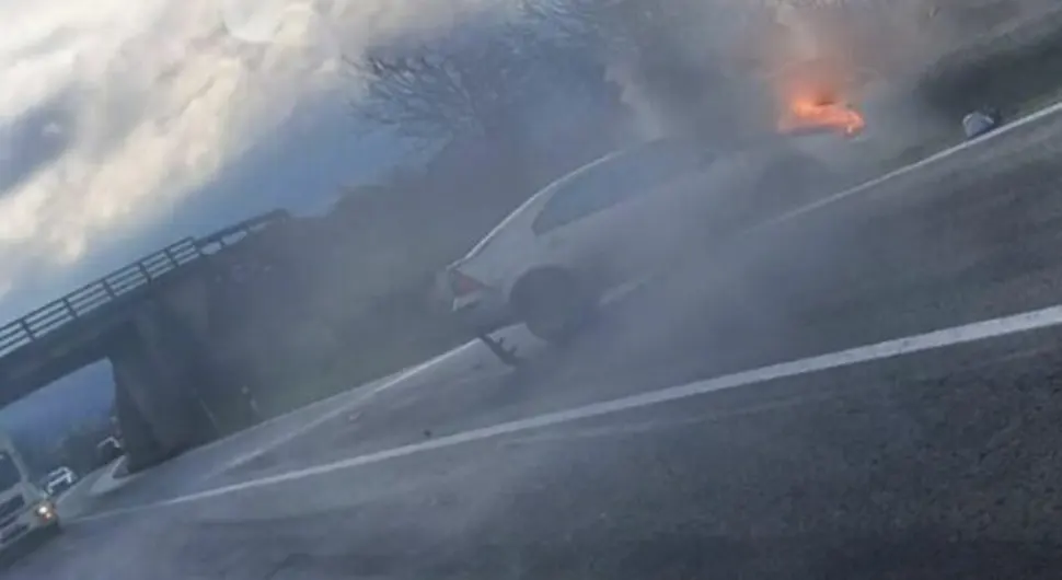 Izbjegavao mačku pa sletio sa puta - auto se zapalio